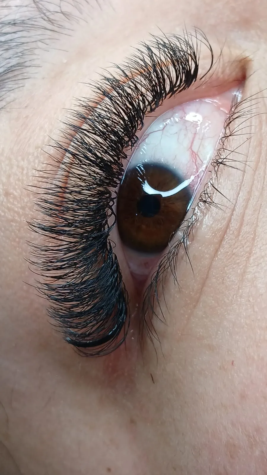 Pestañas pelo a pelo