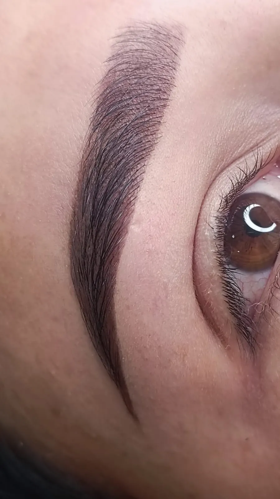 Dep. Cejas en Hilo más Sombreado - Imagen 1