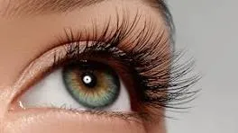 Pestañas punto a punto