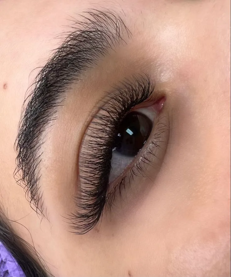 Pestañas Tecnológicas