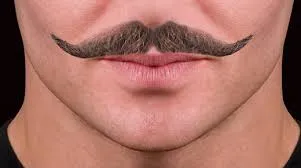 Barba Básica - Imagen 2