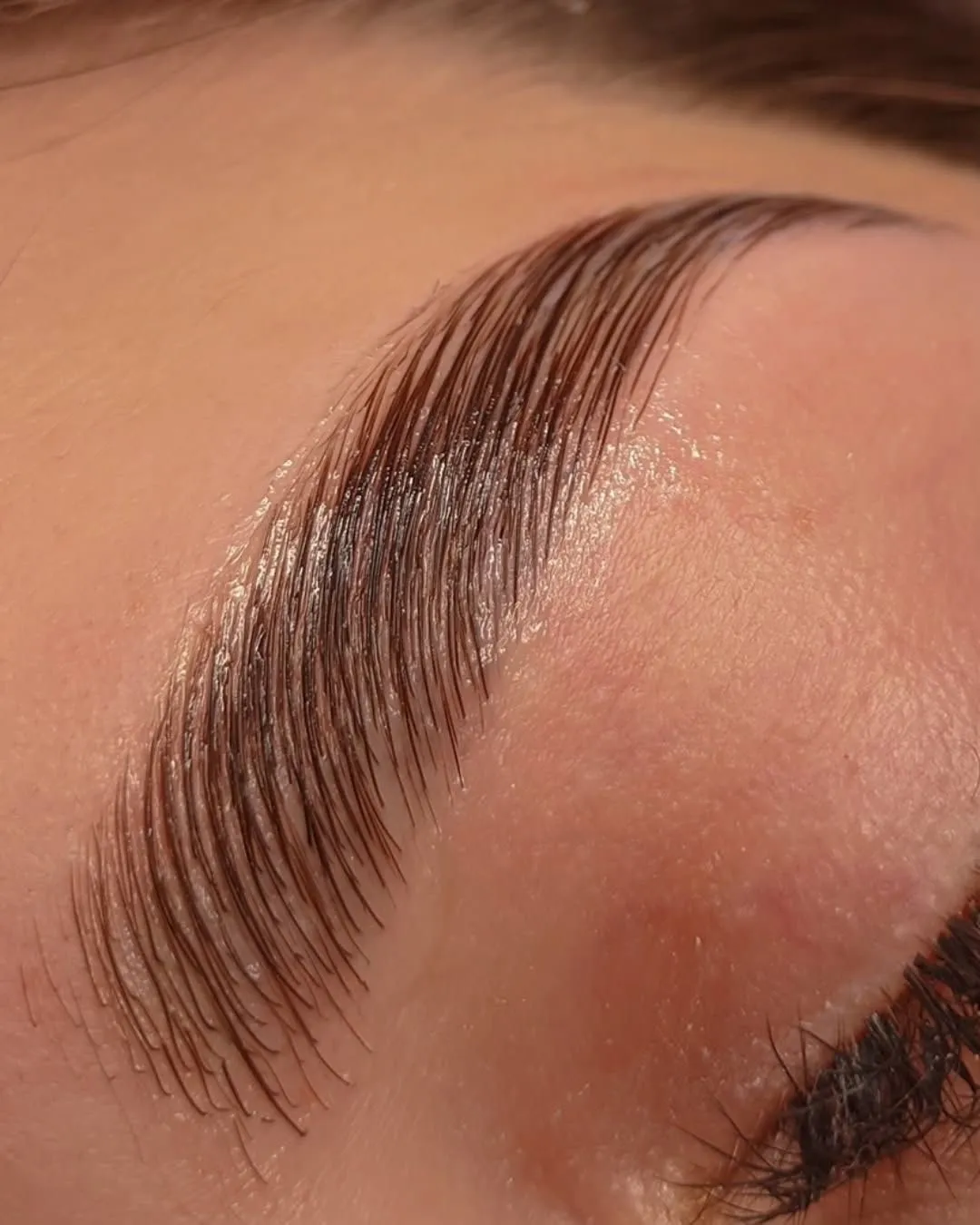 Laminado de Cejas