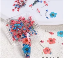 DECORACION UÑAS CON NATURALEZA MUERTA