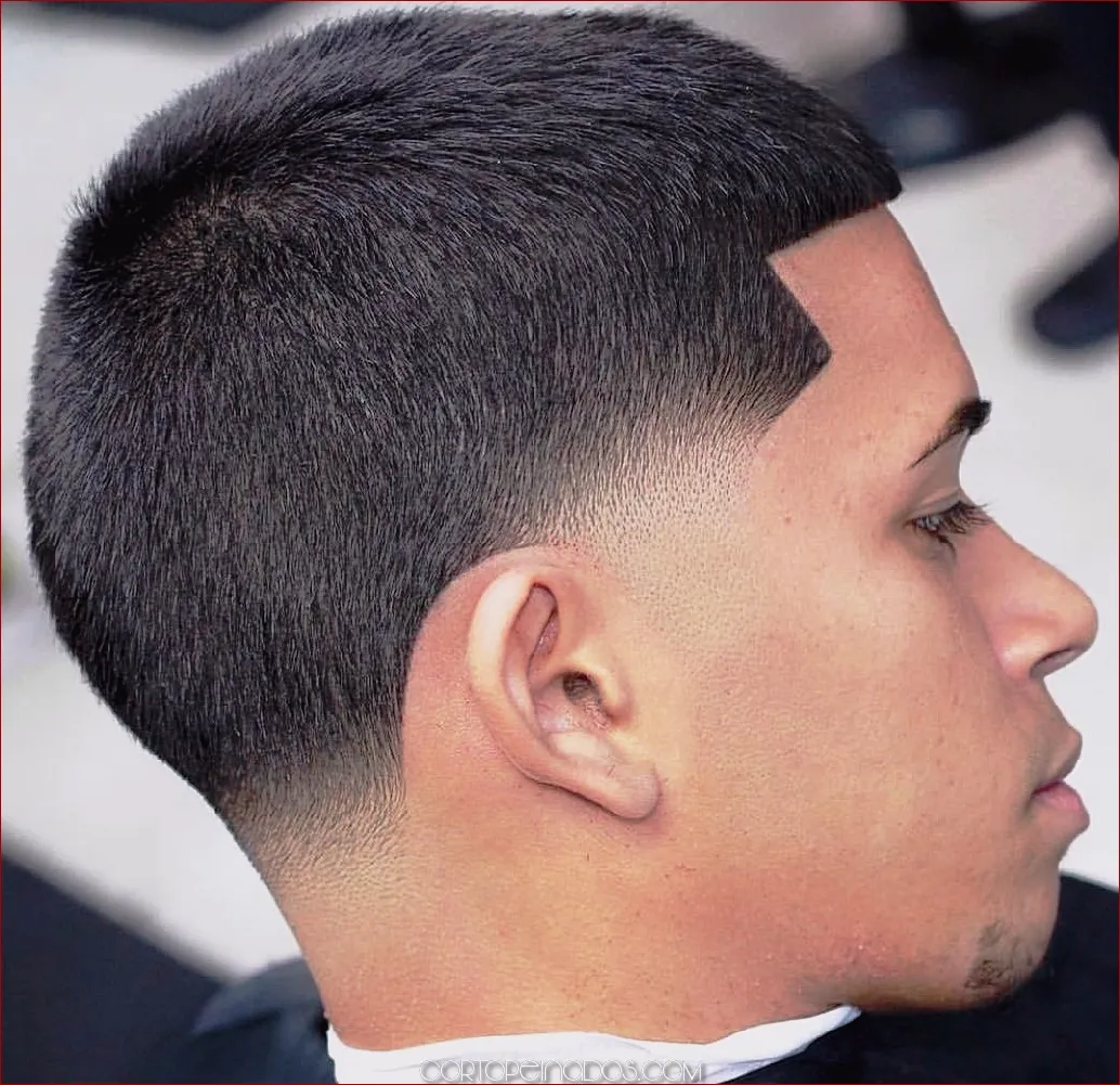 CORTE REGULAR CUT - Imagen 1