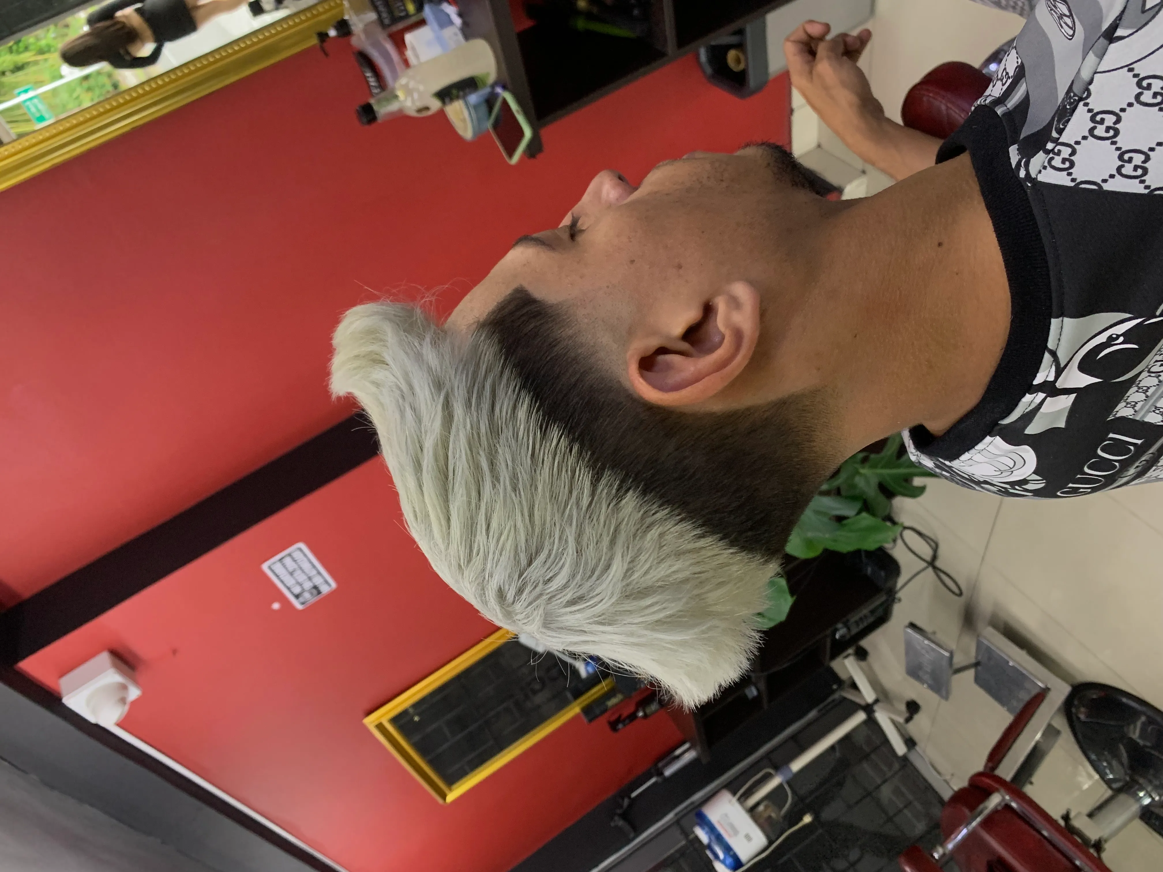 TODI COLOR PLATINIUM  - Imagen 1