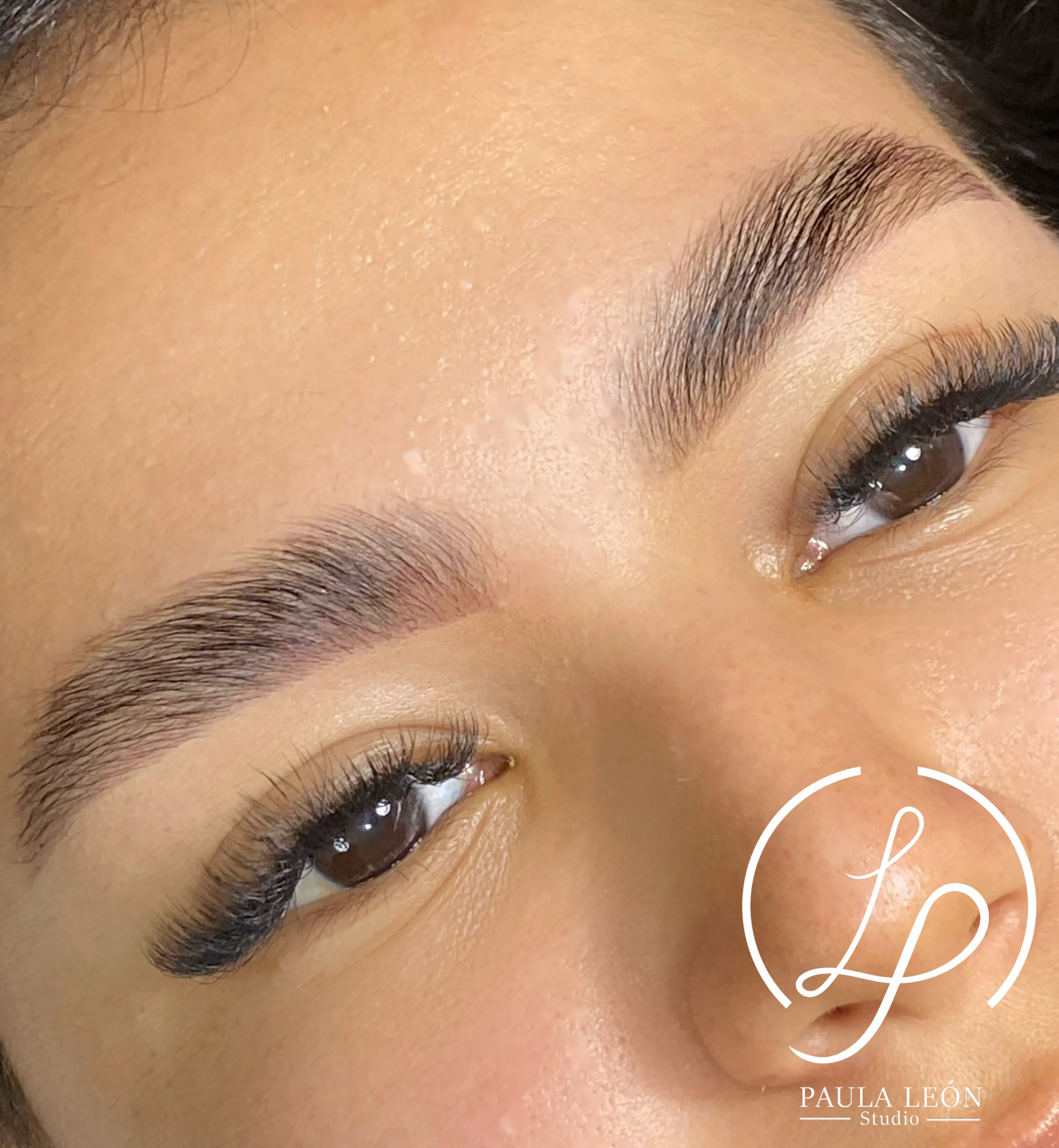 LAMIBROWS 