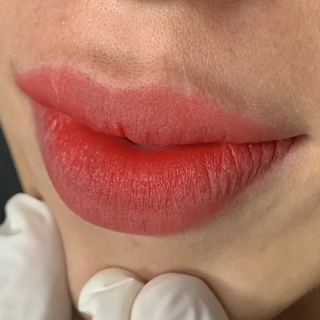 LABIOS PMU - 2