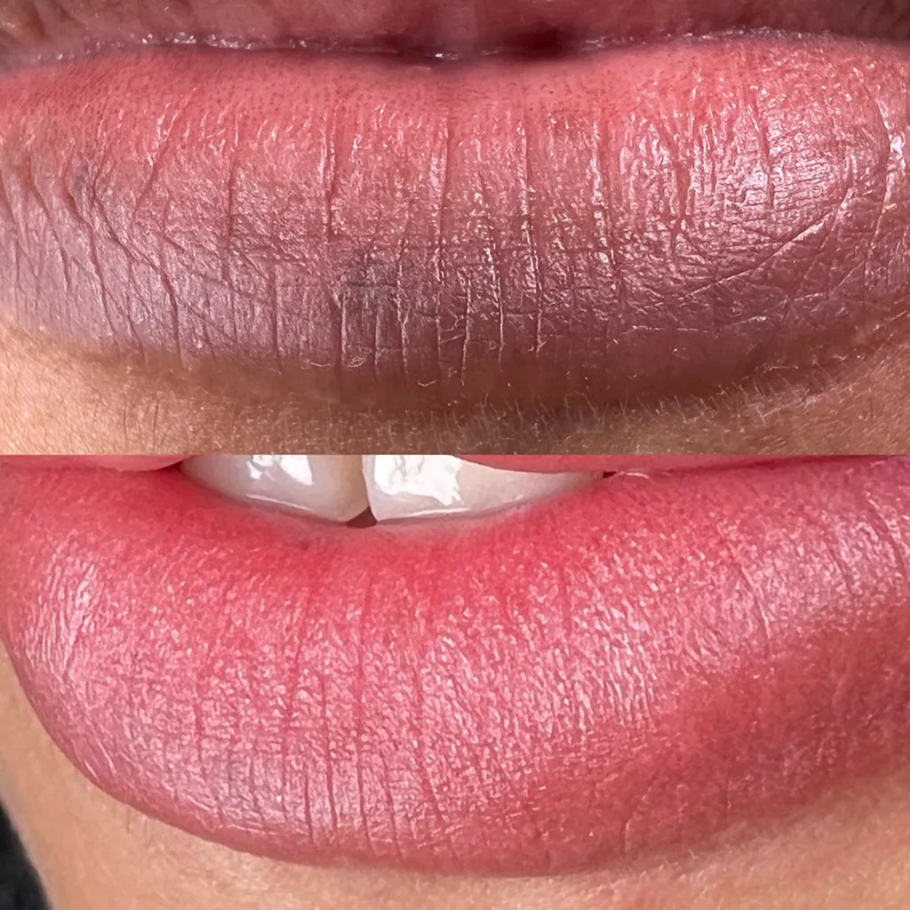 LABIOS PMU - 5