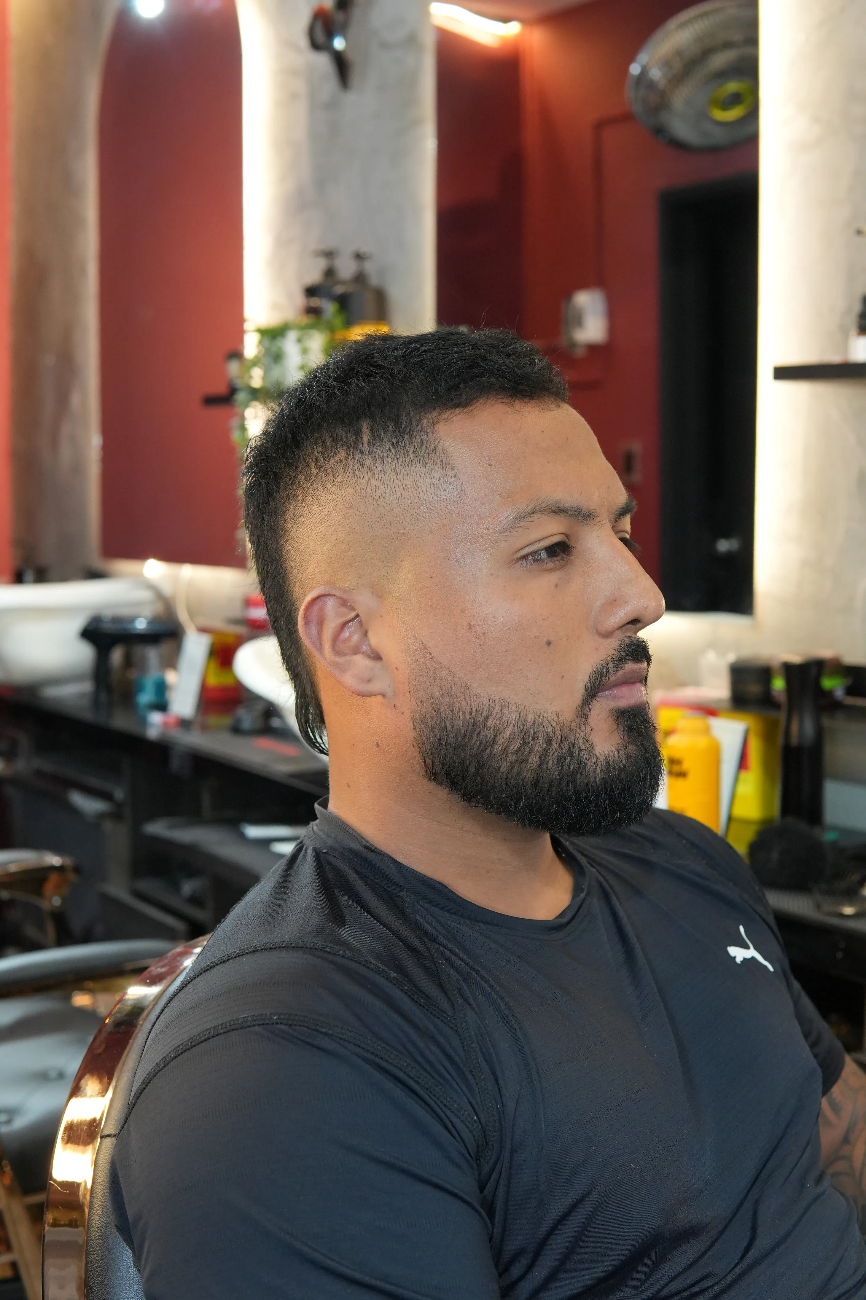 Barba | MAESTRO