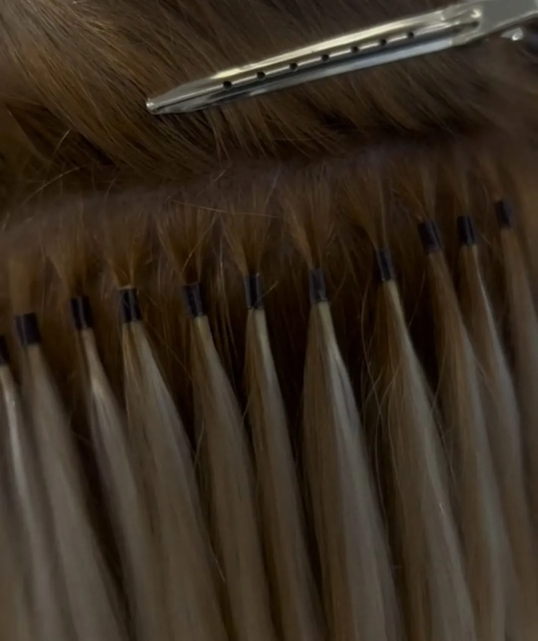 Instalacion de Microchips reforzados 