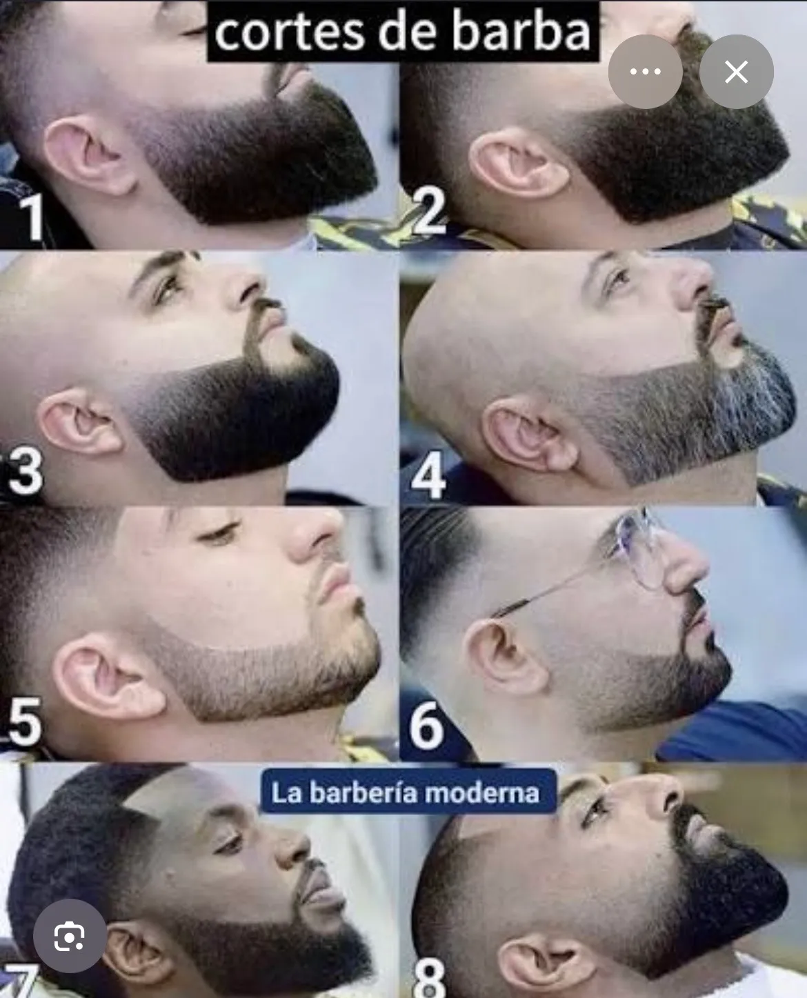 solo barba